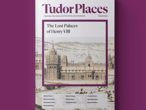 The Lost Palaces of Henry VIII