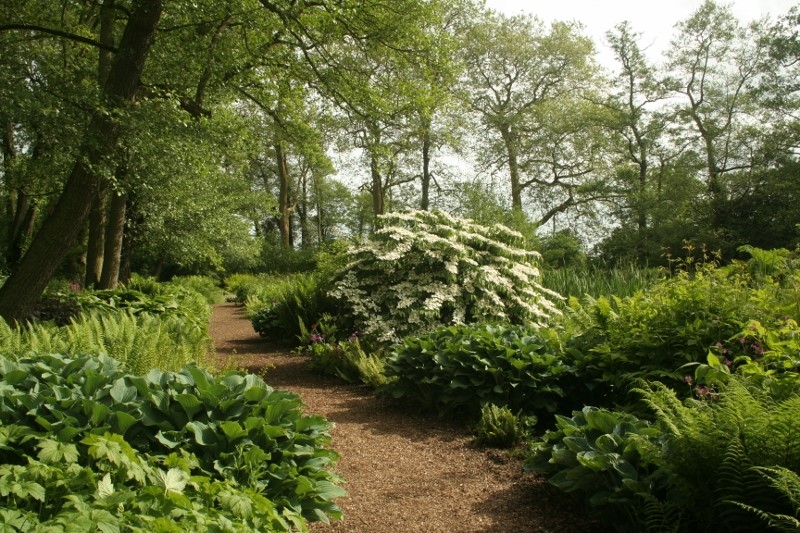 The-Bog-Garden