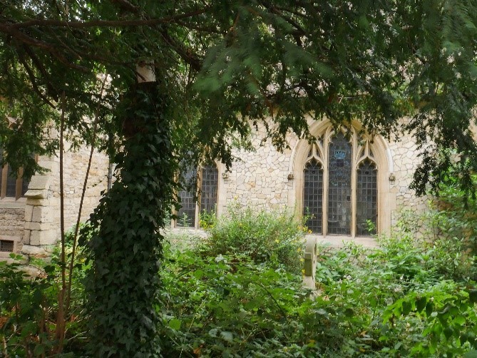 The Peaceful Setting Of St Edward King And Martyr Church Cambridge © Tudor Times Ltd